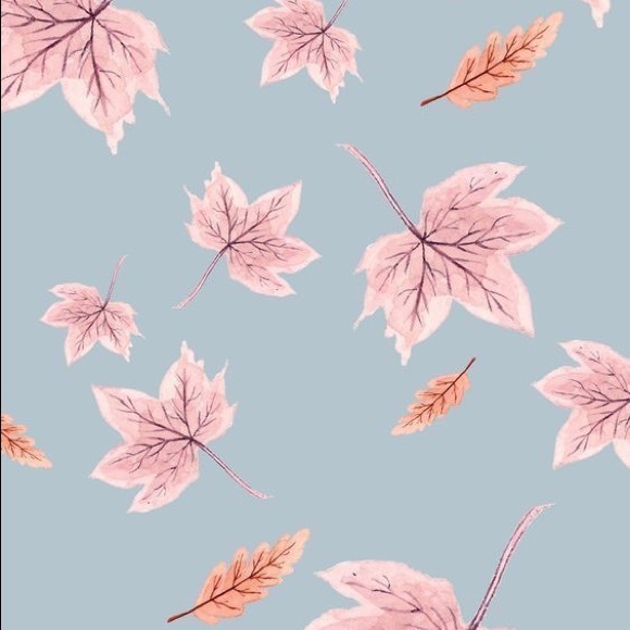 Meet your Posher, Mariame - Picture 1 of 1